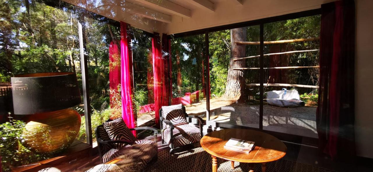 Hotel El Botanico De Sagra Zewnętrze zdjęcie