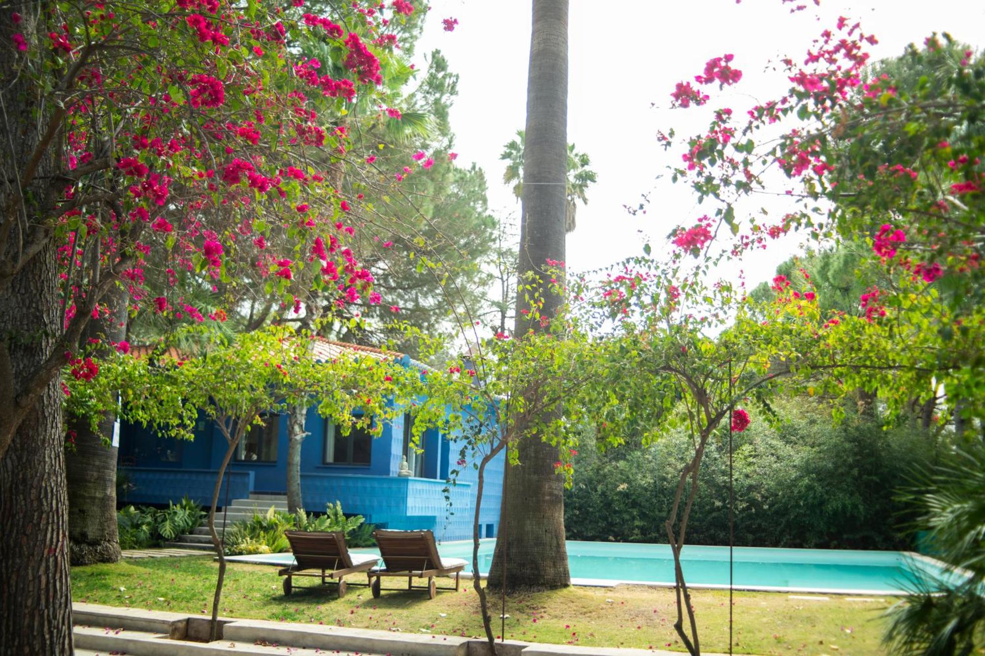 Hotel El Botanico De Sagra Zewnętrze zdjęcie