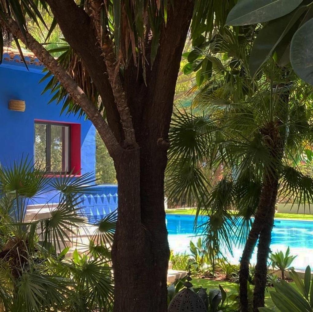 Hotel El Botanico De Sagra Zewnętrze zdjęcie