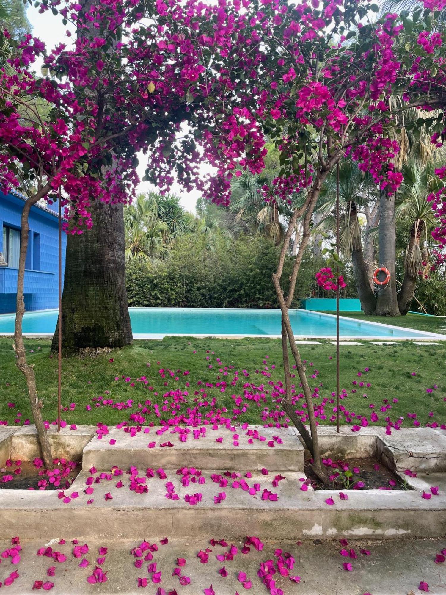 Hotel El Botanico De Sagra Zewnętrze zdjęcie